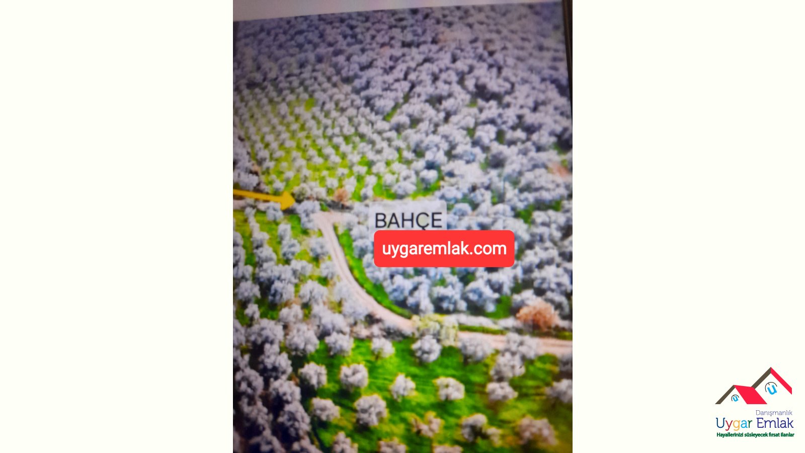 Orhangazi üreilde 1700m2 çift kadostra yoluna cepe ful göl manzaralı bahçenizde evinizi   vebölümümüzü yapabilirsiniz zeytiniyle meşhur umurcali mevkisidi burada potakal kivi yeristirilir suyu vardirr