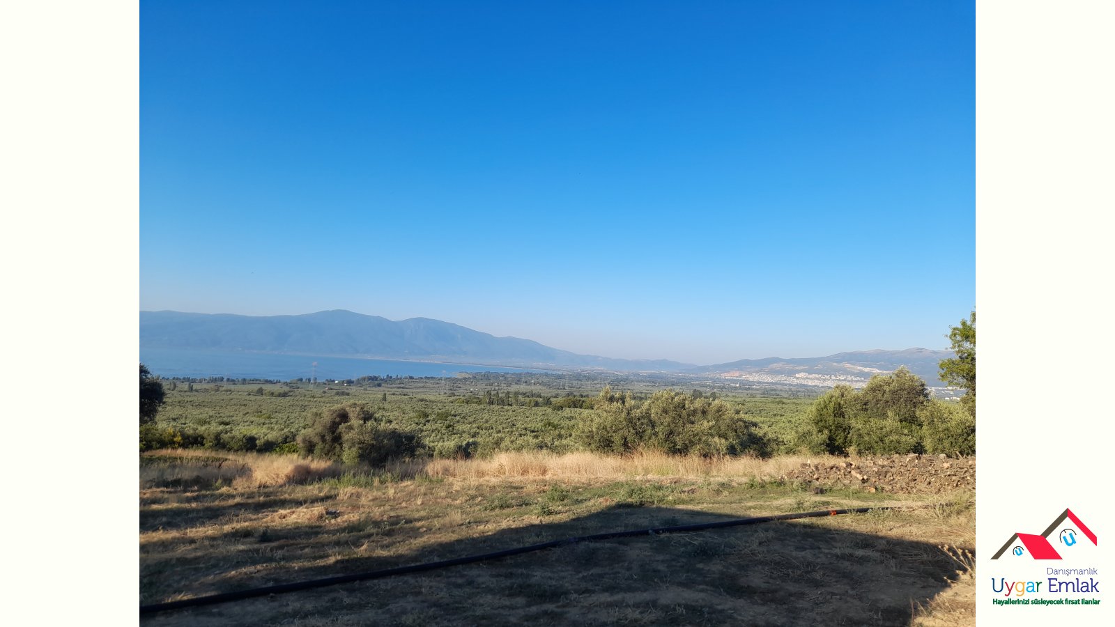 ORHANGAZI ÜREILDE SATILIK 1700M2 ZEYTİNLİK FUL GÖL MANZARALI VEORHANGAZİ MANZARALI SUYU OLAN VE CİFT YOLA CEPE DÜZ TARLA TEK TAPUDUR